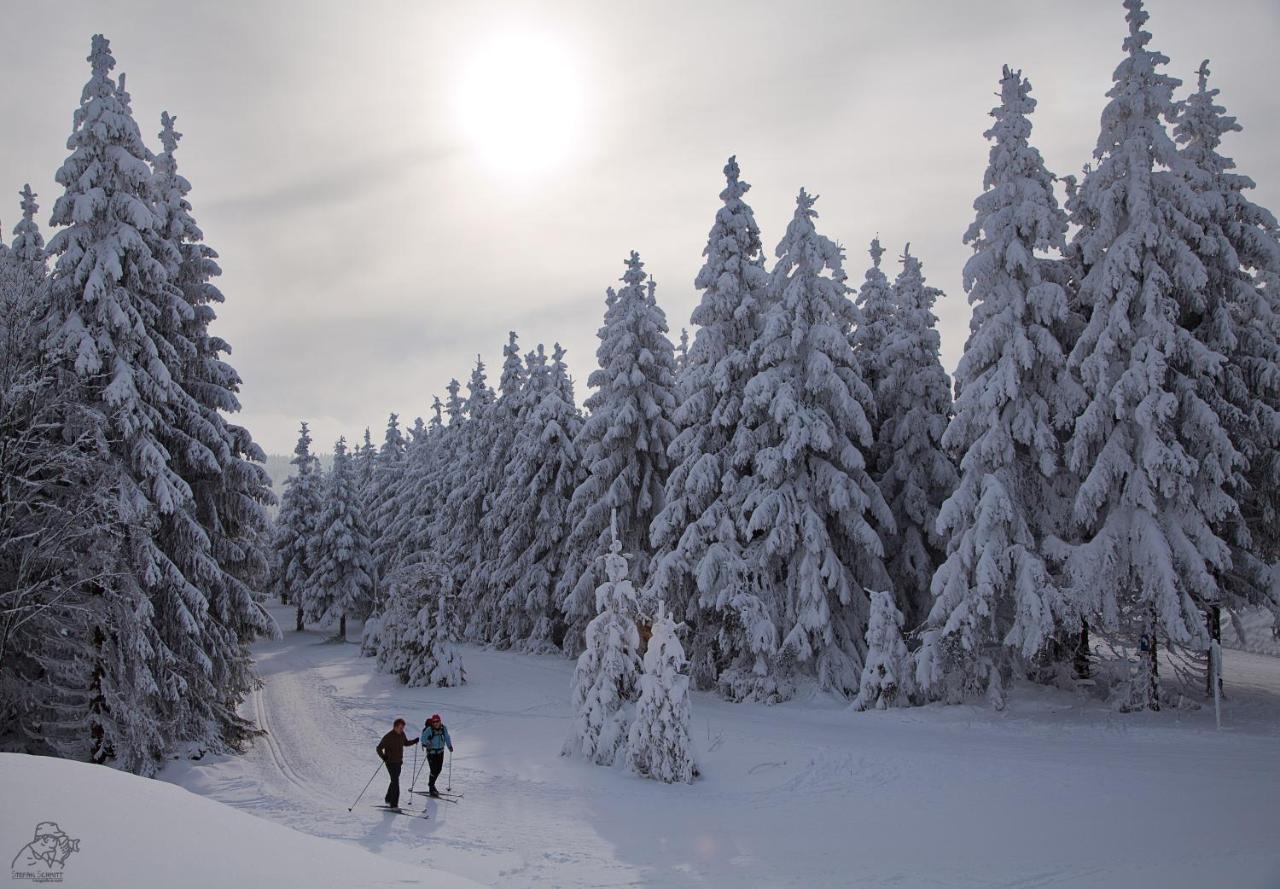 Gipfelstuermer Winterberg Eksteriør bilde